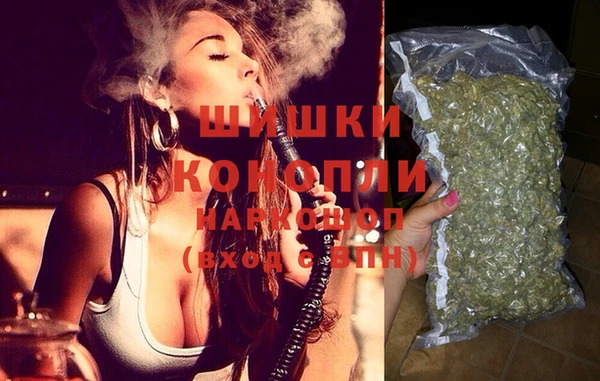 стаф Каменка