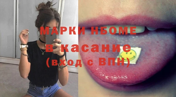 стаф Каменка