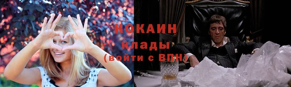 стаф Каменка