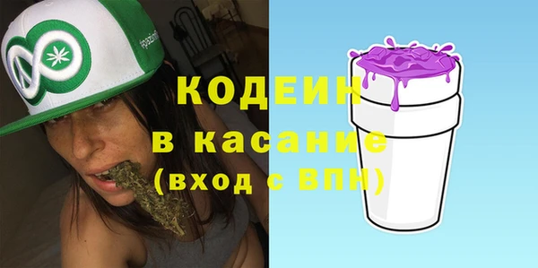 стаф Каменка