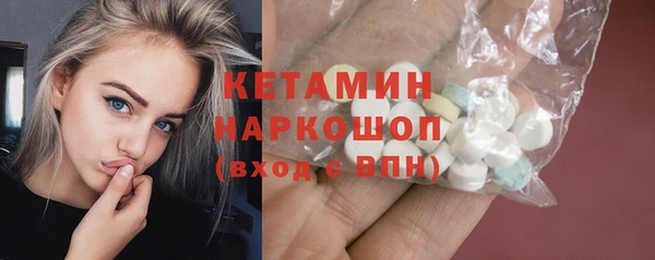 стаф Каменка