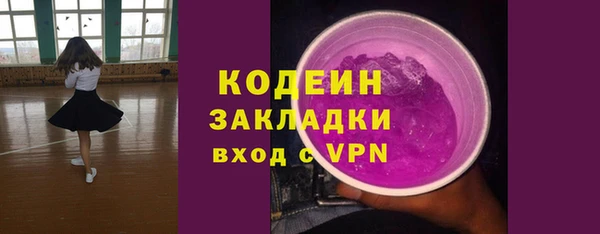 стаф Каменка