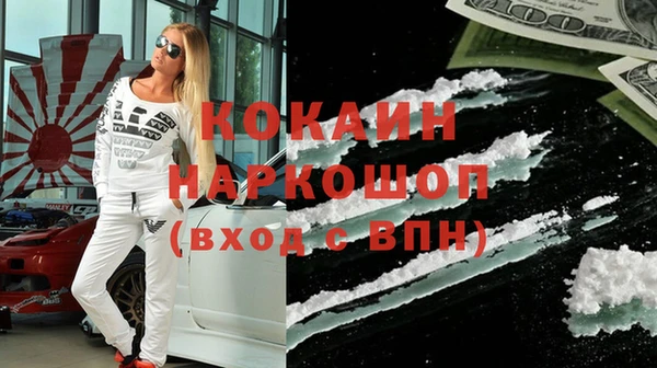 стаф Каменка