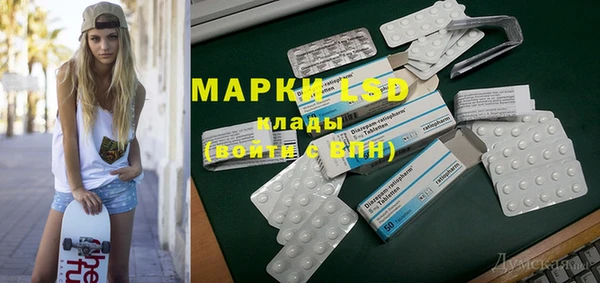 mdpv Каменногорск