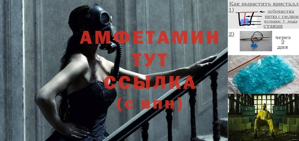 стаф Каменка