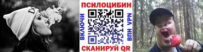 Псилоцибиновые грибы мухоморы Дыгулыбгей